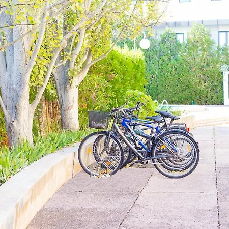 Codonyer B Apartment Port de Pollenca