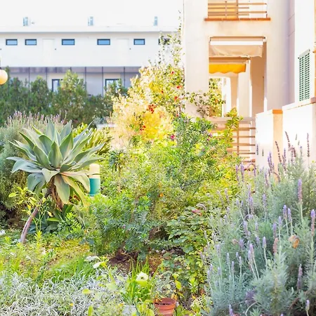 Apartment Codonyer B Port de Pollenca