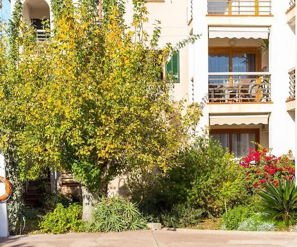 Codonyer B * Поланко