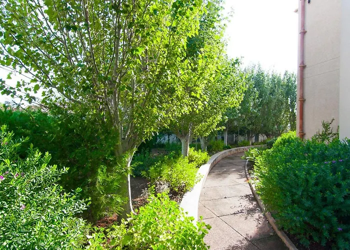 Codonyer B Поланко