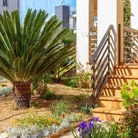 Apartmán Codonyer B *