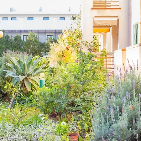 Apartmán Codonyer B Port de Pollença